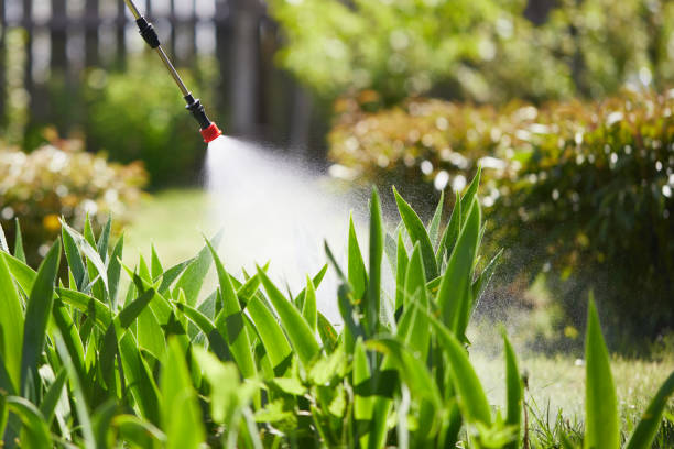 24/7 Emergency Mosquito Control experts in Carnesville, GA